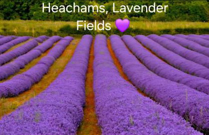 Norfolk Cottage in Seaside village private parking - Foto 26