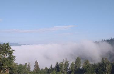 Chatka Milkowska - Foto 19