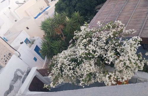 Constantis Mansion - Foto 49