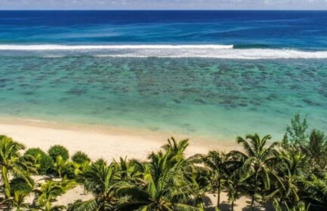 The Cooks Oasis - Foto 61