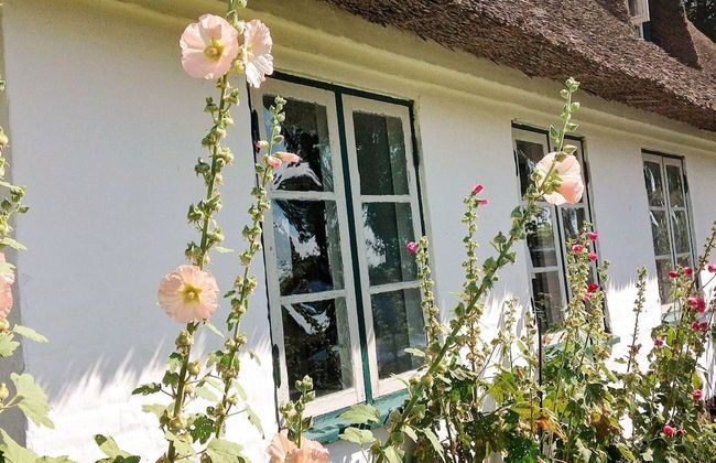 6 Person Holiday Home in Augustenborg - Foto 29