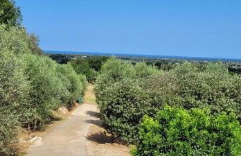 Agriturismo Villa Carducci - Foto 20