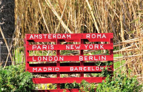 Cornelia Hippie Magic Bus - Foto 37