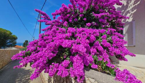 Silba Belvedere (2) 45m from the beach - Foto 3