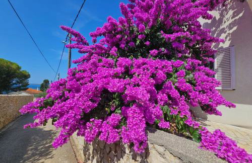 Silba Belvedere (2) 45m from the beach - Foto 3