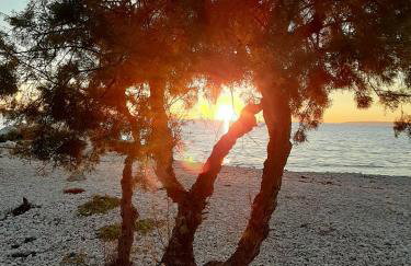 Sunwell apartments - Novalja, Gajac, Zrće - Foto 16