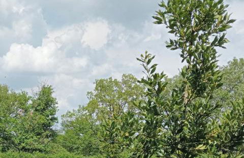 Spot on Civita - Foto 31