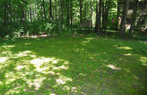 A Short's Walk - Lakefront w Spa & Kayaks! - Foto 18