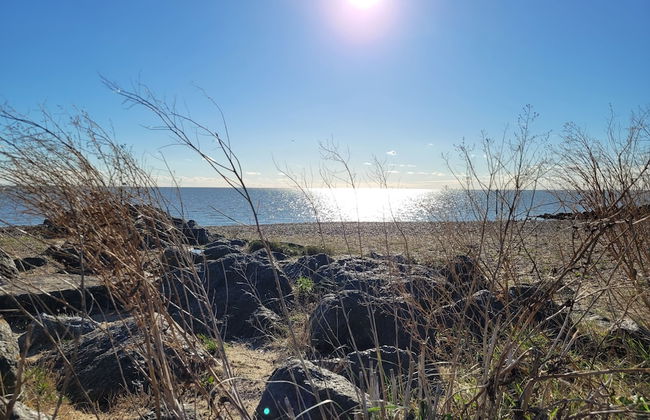 St Osyth- Sleeps8-freeparking-wifi-holidaypark - Foto 26