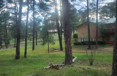 Chic Country Home in the Woods with Hot Tub - Foto 32