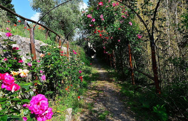 Rustic Elegance Near Florence - Foto 48