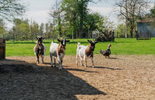 La ferme d'Alcide - Foto 17