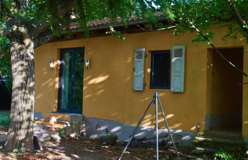 Biggi‘s Garten-Finca - Foto 3