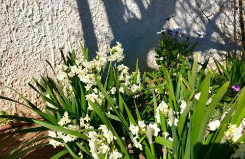 VILLA PHILIP Piscina privada - Foto 20