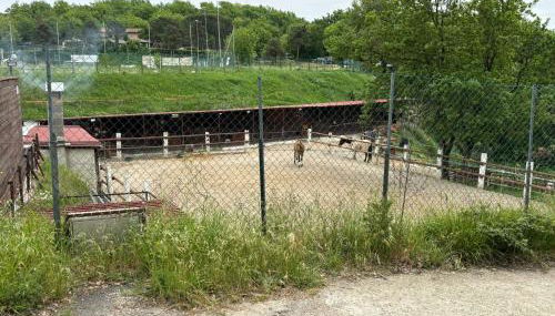 Vacanze toscane Relax privacy - Foto 3