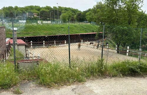 Vacanze toscane Relax privacy - Foto 3