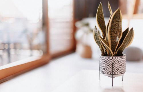 Wohnung am Bodensee - Foto 22