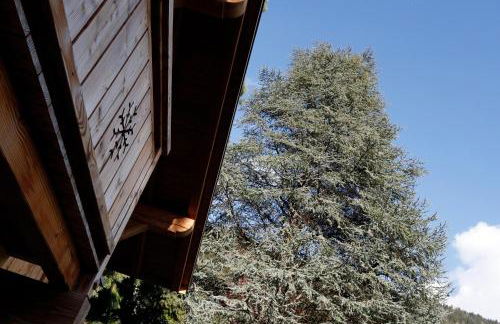 Prestigious Chalet - Foto 8