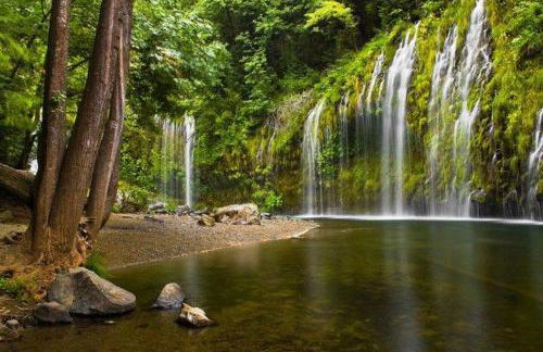 Luxury Shasta Vista Retreat & Basecamp - Sauna & Jacuzzi - Foto 45