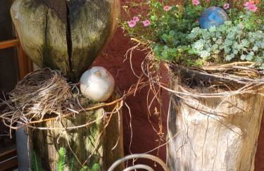 Ankommen, Wohlfühlen und die Natur genießen - Foto 24