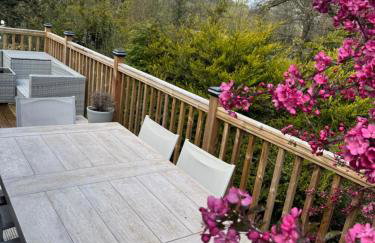 8F Lakeside Lodge Caer Beris Builth Wells - No Tradesman - Foto 4