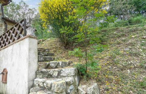 Podere Frassinelli - Foto 13