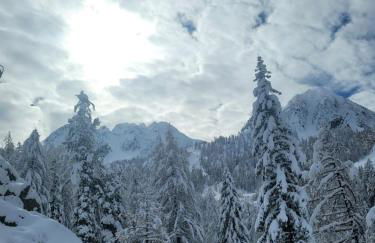 Isola 2000 appartement au pied des pistes wi-fi - Photo 26