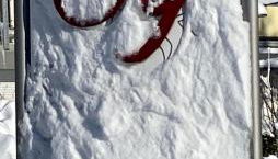 Landhaus Sonnenbichl - Foto 4