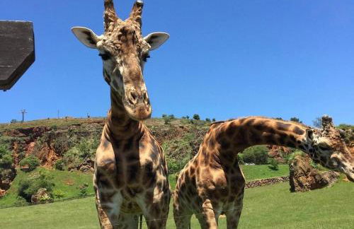 La Casa de Piedra - Foto 63