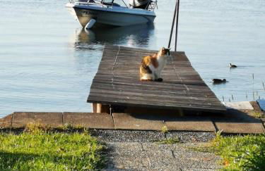 Gästehaus zum Landesteg - Foto 71