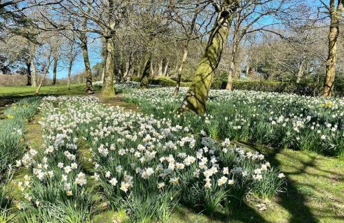 Oyster Cottage - Foto 29