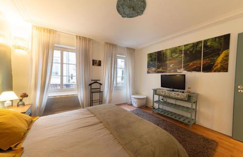 Nid d'émeraude - Votre escale cosy à Haguenau - Foto 5