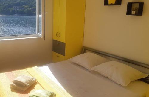 APARTMANi VICTORIA - Foto 6