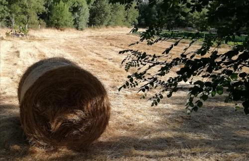 Carya Tallaya - Casas de Campo - Foto 70