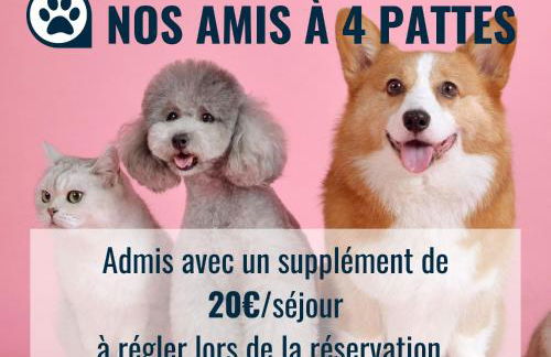 La Presque Basque - Foto 6