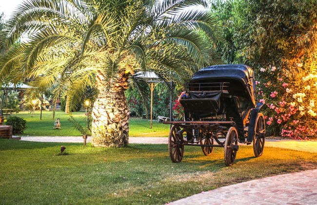 Masseria Mazzei Le Colline del Gelso - Foto 26