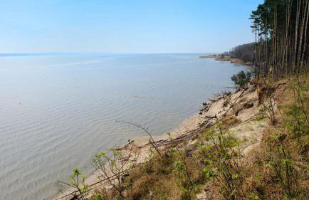 Four Winds - Foto 29