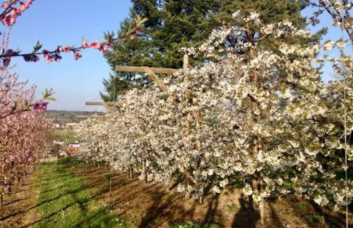 Ferienwohnung Seeblick - exklusive Wohnung in erster Reihe mit Balkon und Seeblick - Photo 19