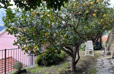 Piera's House - Photo 29