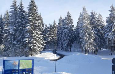 Ferienwohnung Waldblick Oberhof - Foto 15