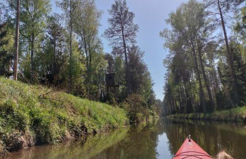 Leśna Chata kuracyjna nad rzeką z sauną w Borach Tucholskich - Foto 34