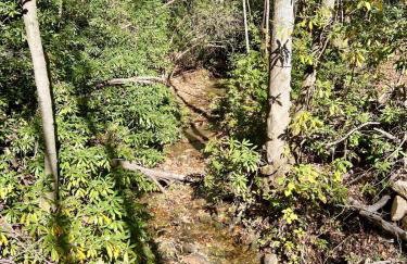 Creek side Mountain Perfect for Families ,We are just 5 to 7 minutes from the entrance of Pisgah Forest, where you ll find many rivers and waterfalls - Foto 78