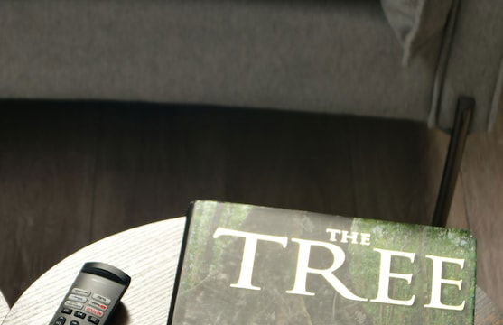 Krym - Studios in Wynwood - Foto 113