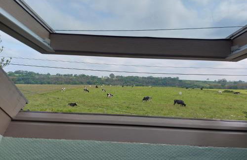 Gite du Cheran - Photo 9