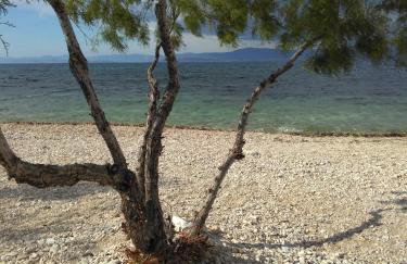 Apartments Zvone,place by the sea - Photo 13