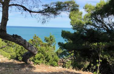 FRONT DE MER - T3 LEUCATE PLAGE - Foto 12