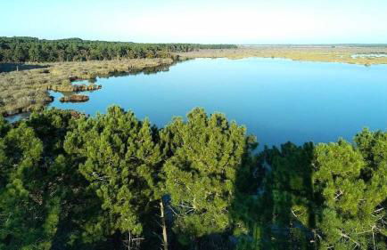 Résidence 02345m-lacanau - Belle maison 2 chambres et mezzanine, 6 personnes, Longarisse à Lacanau MAE-1101 - Foto 24