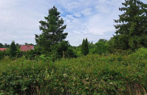 Wyspa Karsibór Świnoujście Apartament - Photo 2