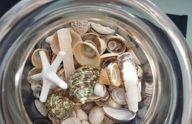 Seaclusion - Foto 41