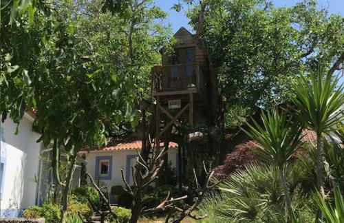 Casa Oliva - Casa da Serra - Foto 62